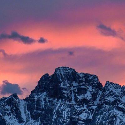 一条微博引发“血案“!范冰冰4天6000万片酬被查:崔永元怒怼,3000亿影视股悬了